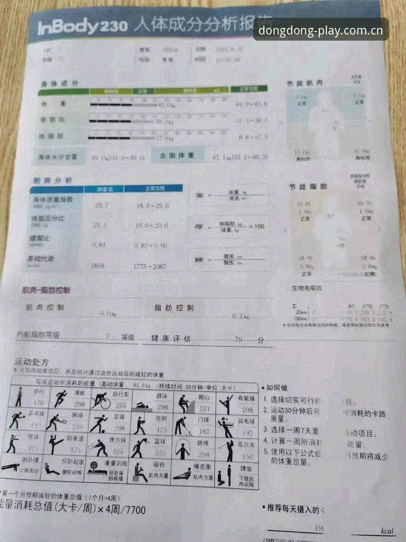 乐动体育2026版深度评测：新手必看的全面体验报告